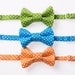 Little Boy Bow Tie - Green, Blue, or Orange Swiss Dot