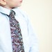 Boys Ties - Brown and Blue - Choose One