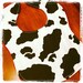 Cowboy Cowgirl Baby Bib Farm Animal Birthday Party Cow Animal