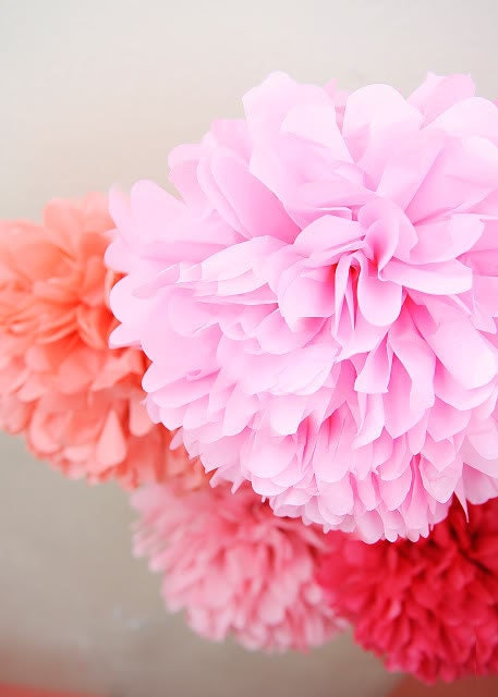 Ballerina- 12 Tissue Pom Poms