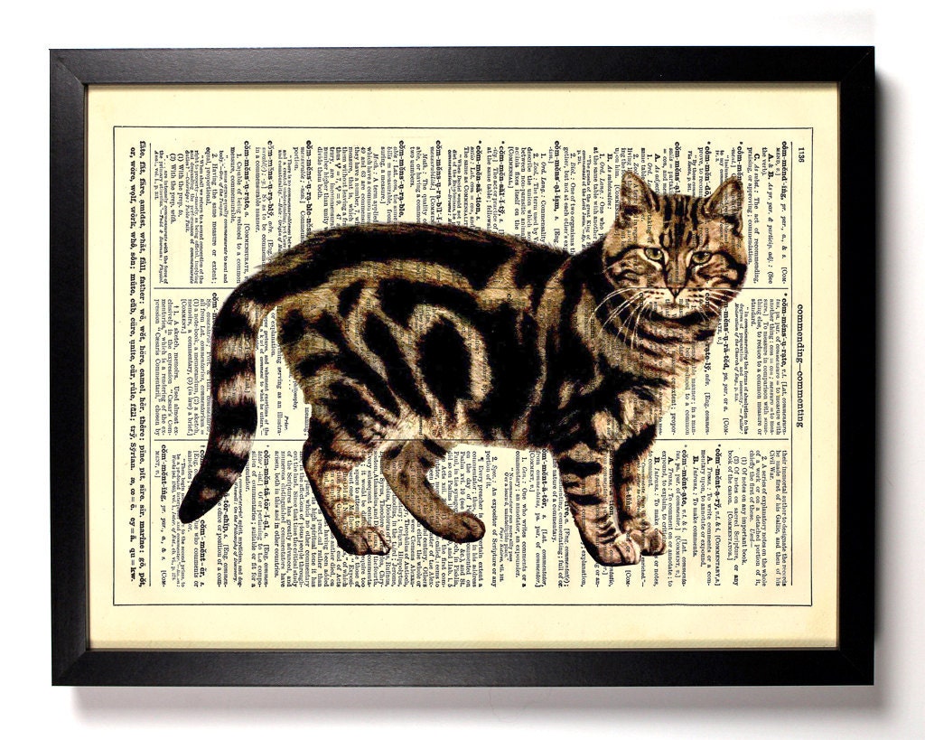 The Tabby Cat 8 x 10 Dictionary Book Print Upcycled Book Art Upcycled Vintage Book Print Antique Dictionary Buy 2 Get 1 FREE
