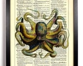Colorful Octopus Repurposed Book Upcycled Dictionary Art Vintage Print Recycled Vintage Dictionary Page Buy 2 Get 1 FREE