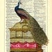 Peacock on Birdcage Repurposed Book Upcycled Dictionary Art Vintage Book Print Recycled Vintage Dictionary Page Buy 2 Get 1 FREE