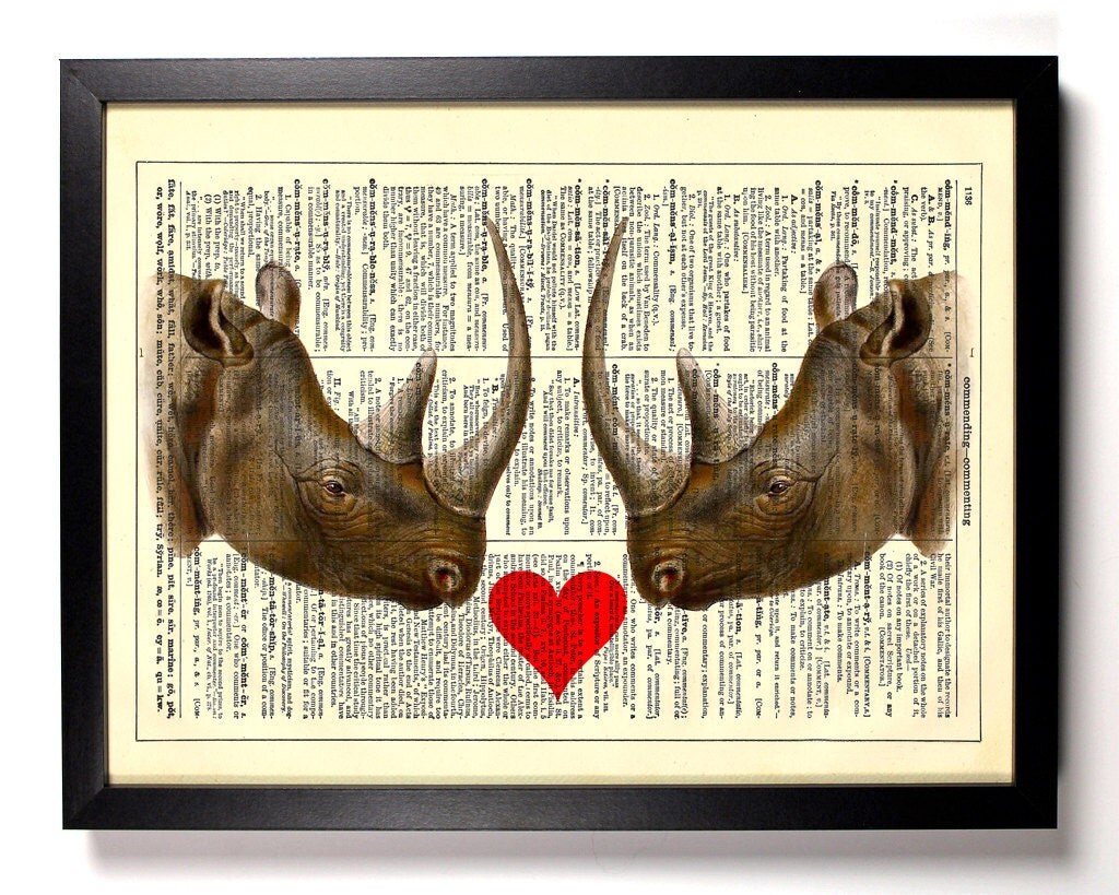 Rhino Love