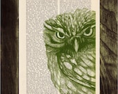 Owl Dictionary page book art print Green Owl Print on Vintage Book altered art dictionary page illustration book print - Buy 3 Get 1 Free