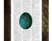 Blue Bird egg rainbow colors printed on Book page - Mixed media  art dictionary page printed
