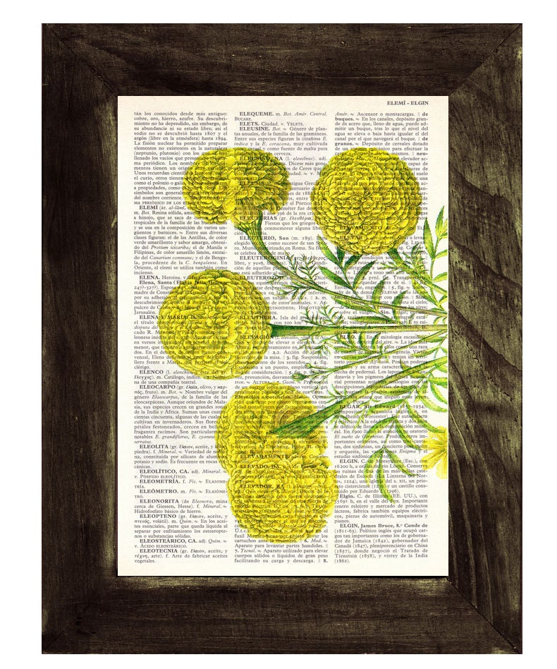 Book print Tagetes or African marigold flower Botanical studio print on Vintage Dictionary Book art