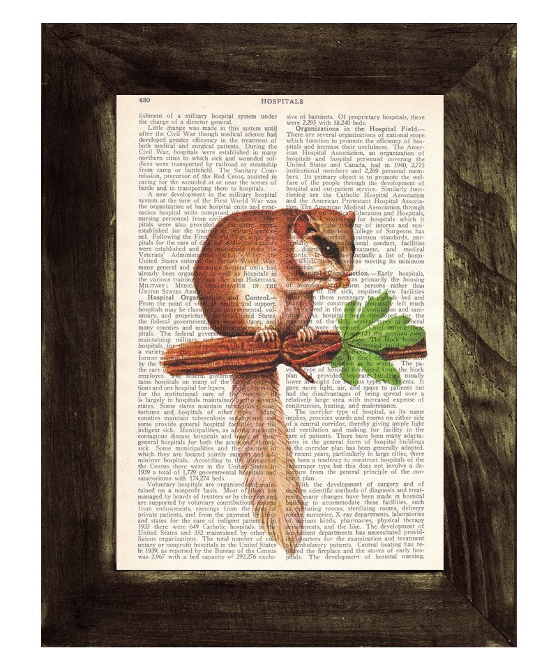 Rodent Squirrel Dictionary Book Print - Altered art on upcycled book pages