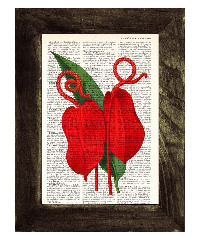 Red Anthurium flower- Vintage Botanical studio print on Vintage Dictionary Book page- Buy 3 get 4
