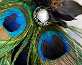Lue--Vintage style peacock fascinator with pearl button accent and black flowers