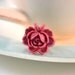 French Rose Ring- Plum