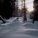 Summit Meadow, Yosemite, 16x20 Ultrachrome K3 Archival Print