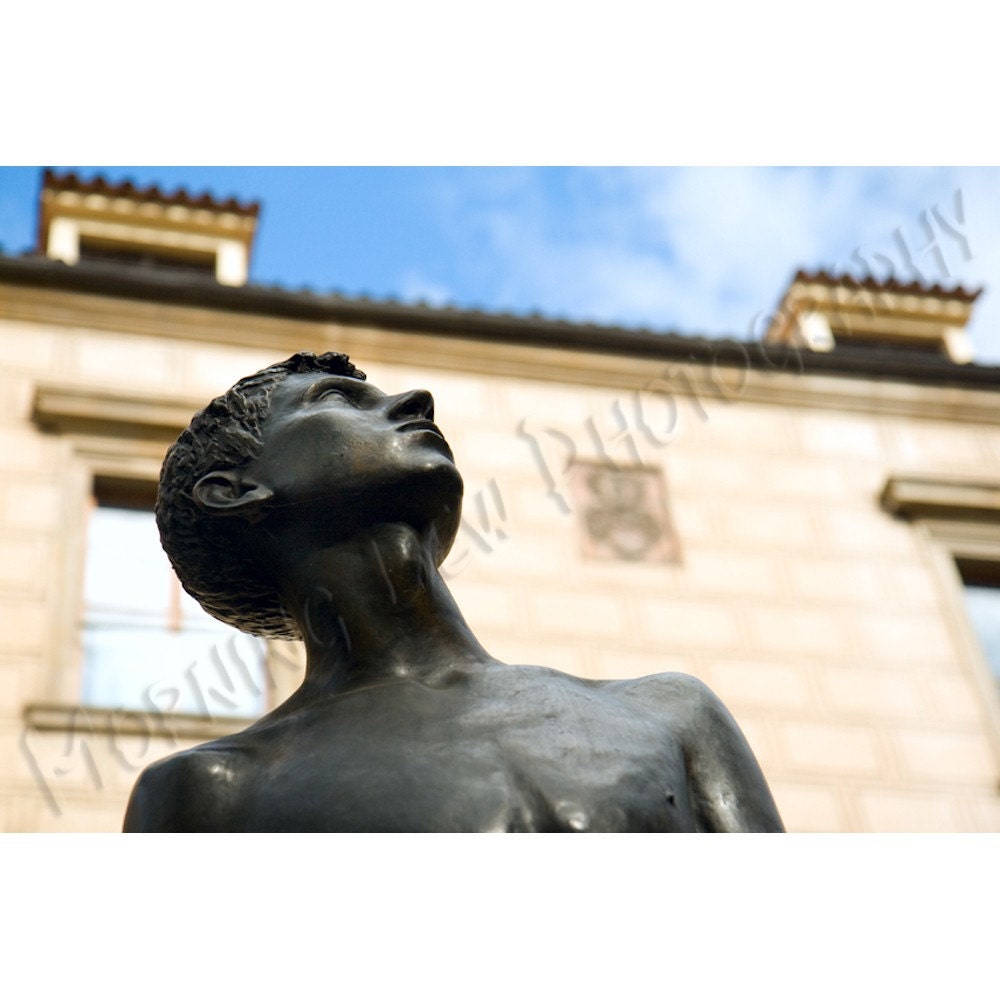 Statue of  Young Man - Limited Edition Photo - 12x16" Matted