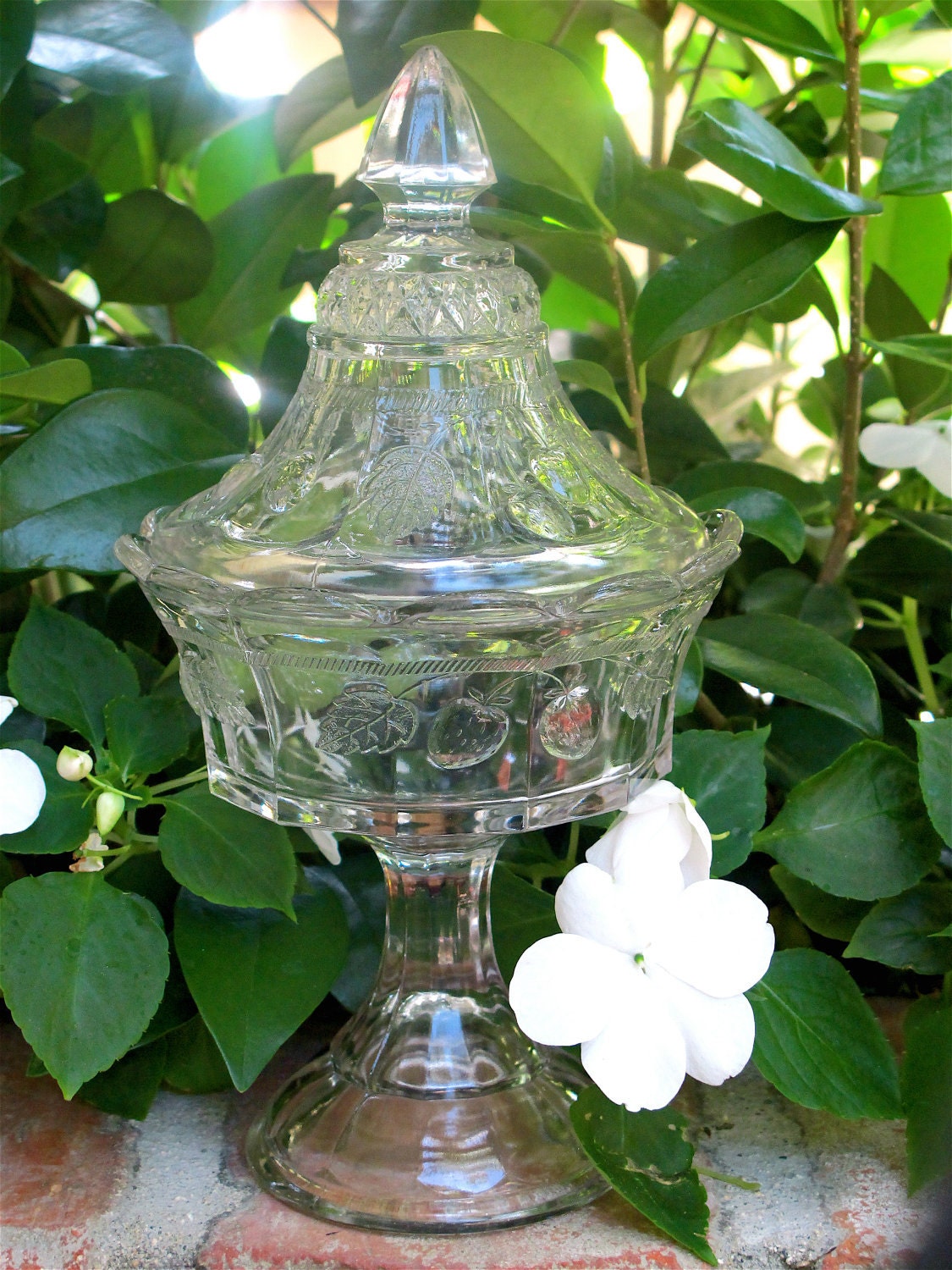 Clear glass compote dish with strawberry vine detailing