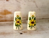 Hand Painted Vintage Salt and Pepper Shakers