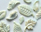 12 Chocolate Leaves: Blue Frost Glimmer Il_170x135