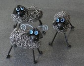 Little Black Sheep by Donald Pimpler