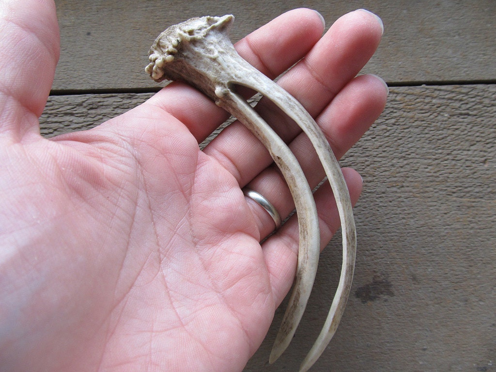 Hair Accessory Hair Stick Comb Fork Deer Antler Carving