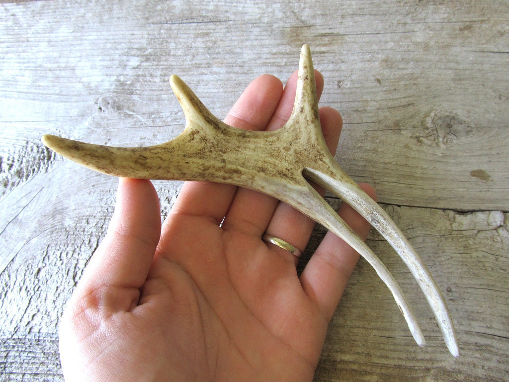 Indie Boho Deer Antler Hair Fork Comb Stick Unusual Statement Hair Piece