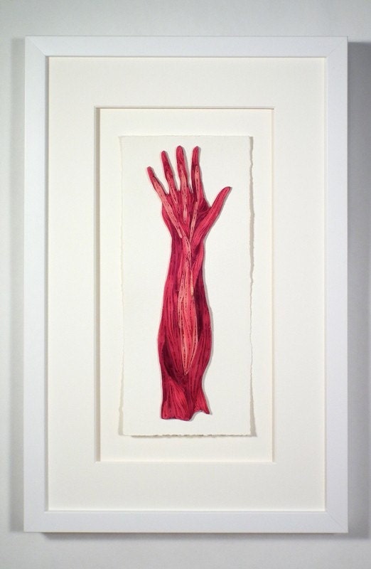 Quilled anatomical hand, Fine art anatomical diagram, framed quilled fine art, doctor decor