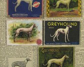 Greyhound Dog Magnets - Antique Fruit Crate Label Greyhounds - set of 5