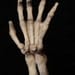 Old Store Stock HALLOWEEN SKELETON HAND vintage c. 1960's