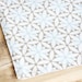 Cloth Placemats - Blue with Greyish Brown Design - Set of 2