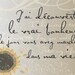 French: I discovered true happiness the day you walked into my life, 8x10 print (Sunflower) Distressed Floral Series