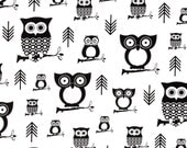 Photography Backdrop 00151