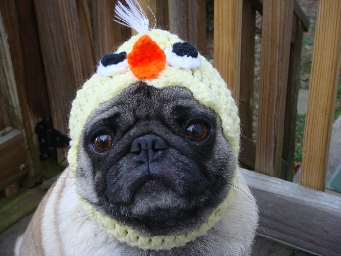 Baby Chick Dog Hat / Made to Order