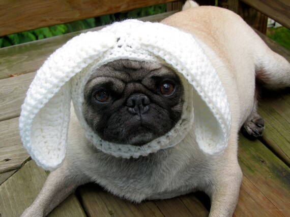 Dog Hat - Floppy Ear Bunny Rabbit / Made To Order