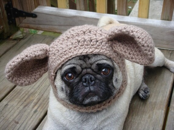 Dog Hat - Church Mouse / Made to Order