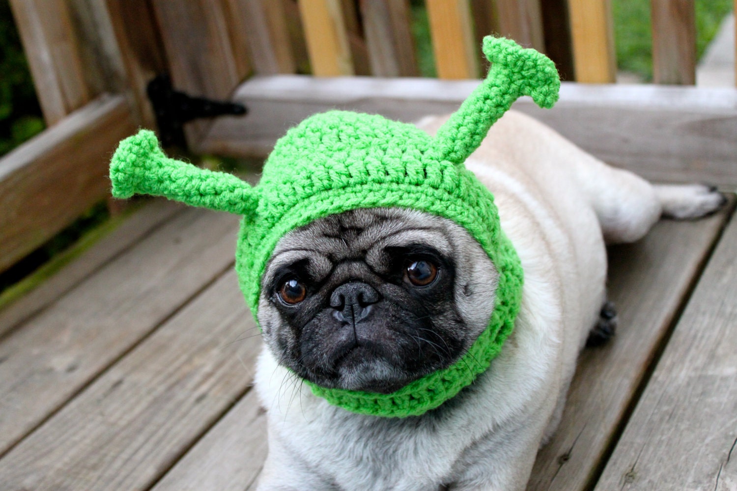 Dog Hat - Shrek/ Made to Order