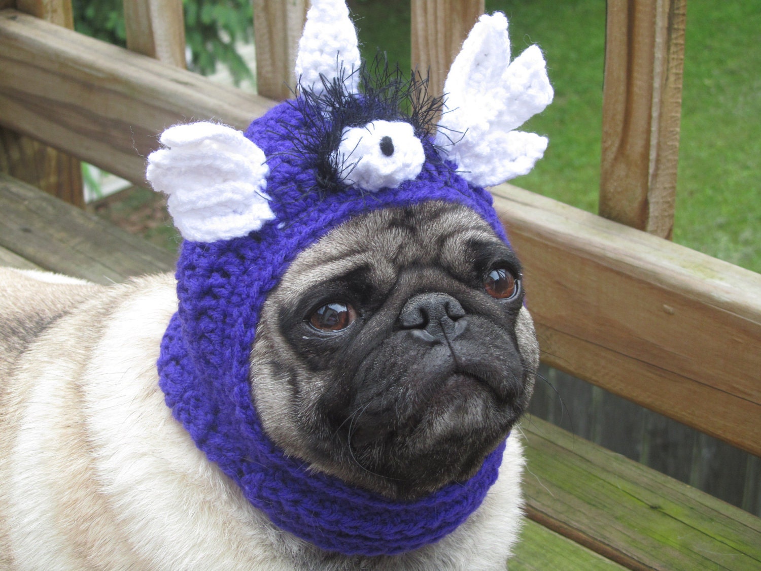 Dog Hat - Flying Purple People Eater/ Made to Order