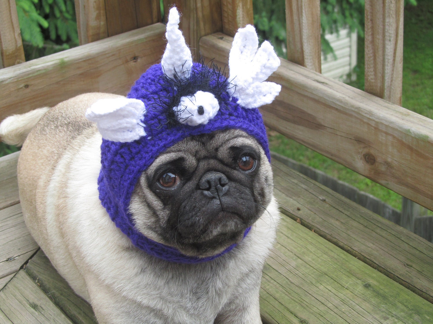 Dog Hat - Flying Purple People Eater/ Made to Order