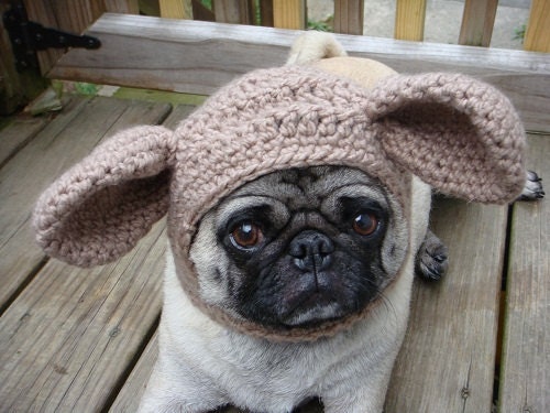 Dog Hat - Church Mouse / Made to Order