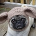 Dog Hat - Church Mouse / Made to Order