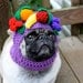 Dog Hat - Carmen Miranda Fruit Bowl/ Made to Order