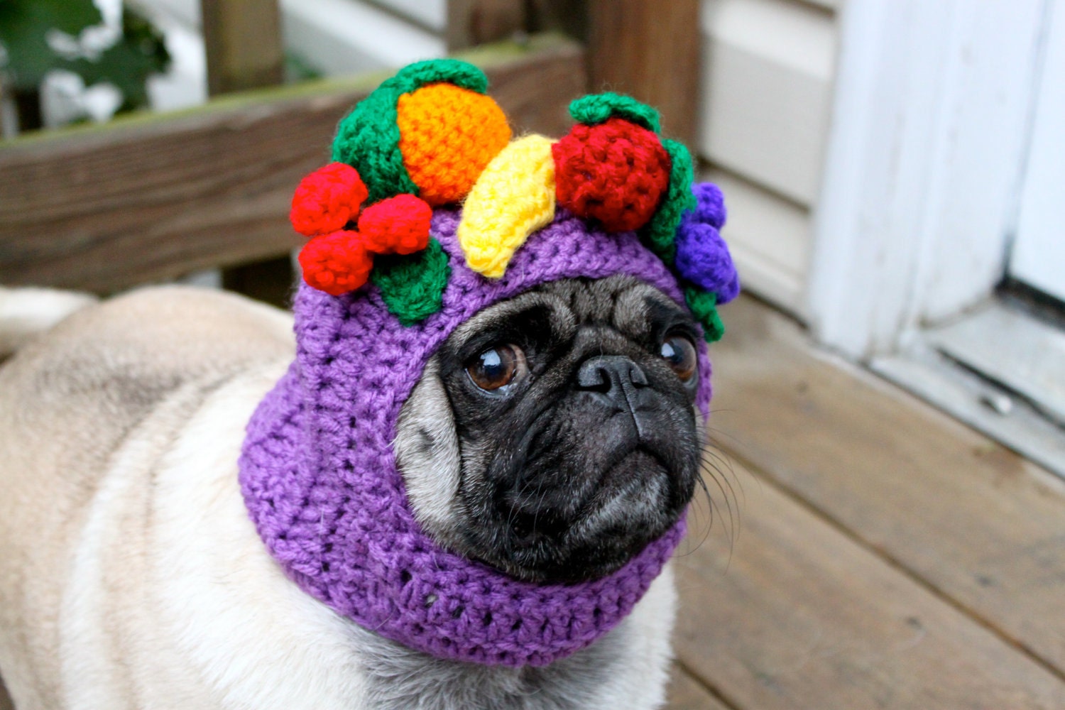 Dog Hat - Carmen Miranda Fruit Bowl/ Made to Order