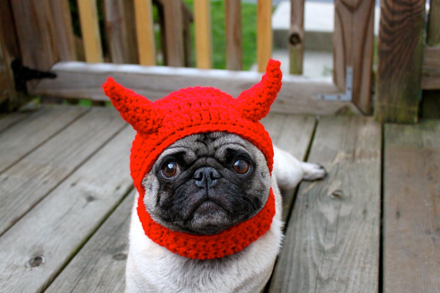 Dog Hat Little Devil / Made to Order