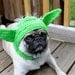 Dog Hat - Yoda / Made To Order