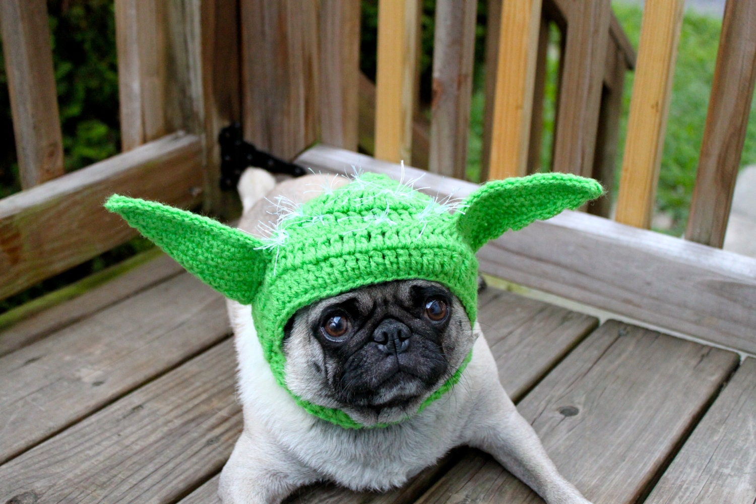 Dog Hat - Yoda / Made To Order
