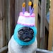 Happy Happy Birthday Cake Dog Hat / Made To Order