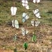 Multi-Color Sea Glass and Driftwood Windchime