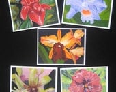 Flower Art Note Cards, Tropical Colorful Flowers, Handmade OOAK, Red Purple Yellow Pink Orange