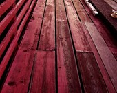 Seattle Photography My Path Home to You Boardwalk in Red 8x10 Gold Golden Orange Pink Romance Nature Texture