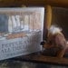 Dachshund Book / Pepper and All The Legs