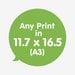 Any Print in 11 x 16 on A3 Print, Wall Art, Poster
