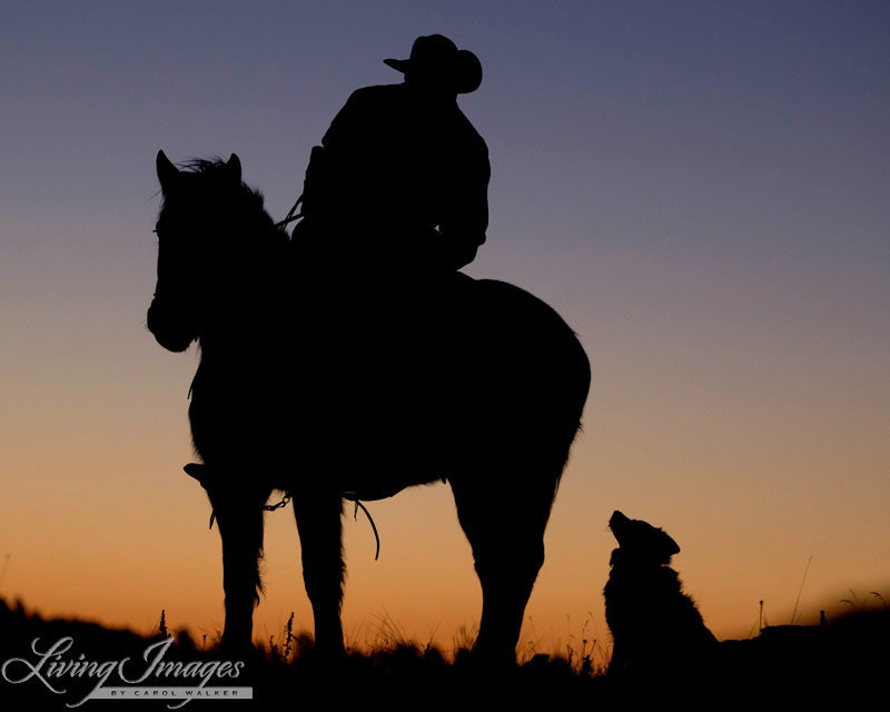 The Cowboy and His Dog