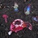 Zombie Gnomes: The Body Parts Expansion Pack FREE USA SHIPPING